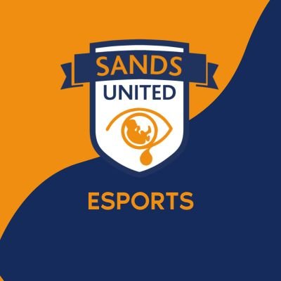 EsportsSands Profile Picture