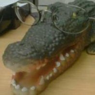 Paul Mainwood (@paulmainwood) Twitter profile photo