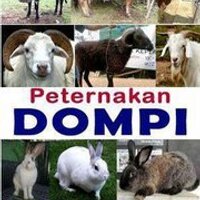 Peternakan Dompi (@dompi_singo) 's Twitter Profile