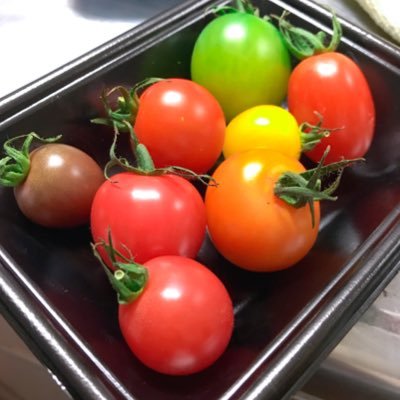 いのししさんのプロフィール画像