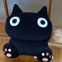 πγ‘γ³γγ(γγ£γΌεγ‘γγ)ππ’ππ·π£ (@tiny_little_cat) 's Twitter Profile