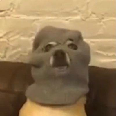 OliverO65230191's profile picture. 