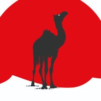 Black Camel Pictures(@BlackCamelPic) 's Twitter Profile Photo