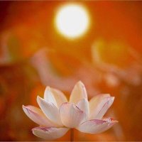 Ravindra Raju (@ravindraraju19) 's Twitter Profile