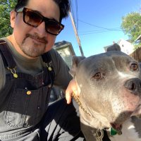 M. Alexander (@lonewolfcountry) 's Twitter Profile