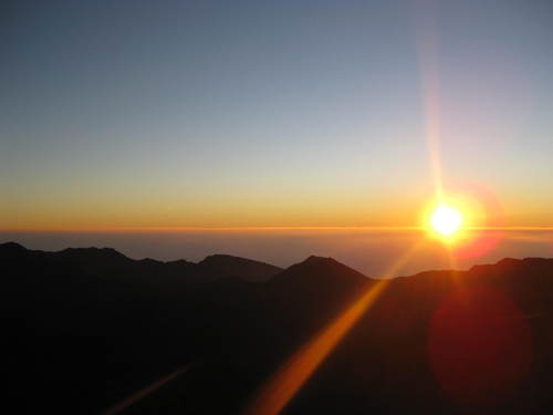 mconcerto's profile picture. bicoastal anchor baby