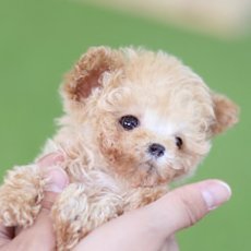 jjoggom81's profile picture. 