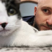 Adam Coster 🎮 (@costerad) 's Twitter Profile