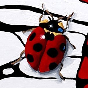 🐞 🐞 🐞