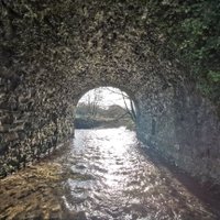 Rivers Of Carraig na bhFear(@riverscarraig) 's Twitter Profile Photo