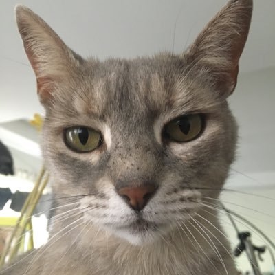 djbttg's profile picture. 