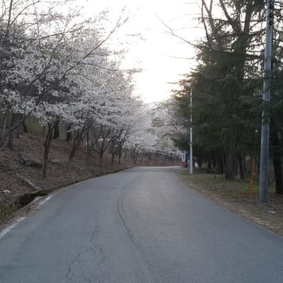 FMNNrSjNKyfc1sa's profile picture. 멋잇게살자