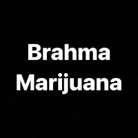 Brahma Marijuana(@BrahmaMarijuana) 's Twitter Profile Photo