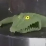 flatcrocodile's profile picture. 