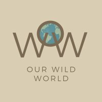 Our Wild World(@AdlayasAnimals) 's Twitter Profile Photo