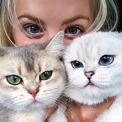 “I have felt #cat rubbing their faces against mine and touching my cheek with claws carefully sheathed.
follow @catlover_Anastasiya to watch best cats content.