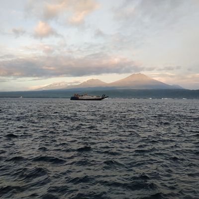 Berto1119's profile picture. info mantab mantab