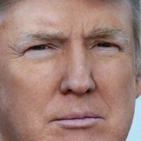 FrankBe75344137's profile picture. 