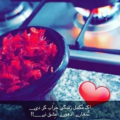 AliQura39137445's profile picture. Qurashi