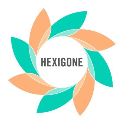 hexigone_ltd Profile Picture