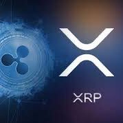 XRP SPARTAN Profile