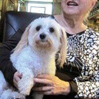 Mary K. Smalley - @Fancydogs Twitter Profile Photo