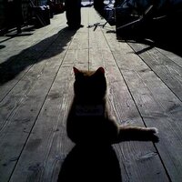 metafizixx (@metafizixx) 's Twitter Profile Photo