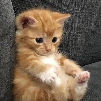 hotchocoandmoo1's profile picture. 