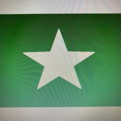 FlagbotName's profile picture. My name tells all