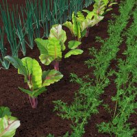 Robot Agriculture π€π± (@rosagriculture) 's Twitter Profile