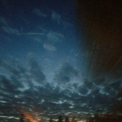 brenlpeterson's profile picture. 