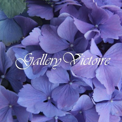 GalleryVictoire Profile Picture