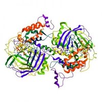 Top Down Proteomics(@TopDownProteome) 's Twitter Profile Photo