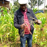 Nijimbere Ndabagoye Richard (@nijimberericha5) 's Twitter Profile