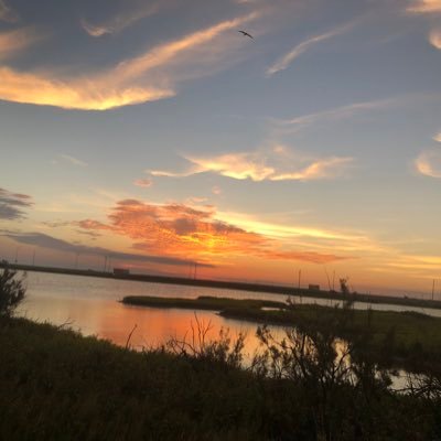 magrigu's profile picture. Avid plant killer • pseudo-baker • chaos organizer