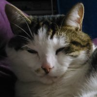 L K Hudson (@lkhudson1) 's Twitter Profile