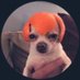 buckles (@_jackbuckley_) Twitter profile photo buckles (@_jackbuckley_) Twitter profile photo