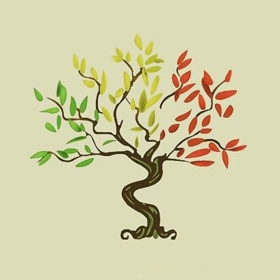 🌿En Güzel Bonsai Ağaçları
⛩Bonsai Severlerin Buluşma Yeri
🌲Yardım mı lazım? Bonsai hakkında her şey için👇🏻