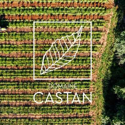 DomaineCastan's profile picture. L’ARTISAN DU VIN qui vous fait voyager de la vigne au verre 💚 FAMILLE de vignerons engagés Certifié BIO 🇫🇷 Languedoc