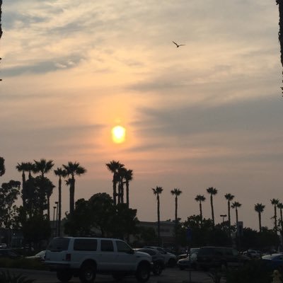 Live4Love8's profile picture. “So come with me, where dreams are born, and time is never planned. Just think of happy things, and your heart will fly on wings, forever, in Never Never Land!”