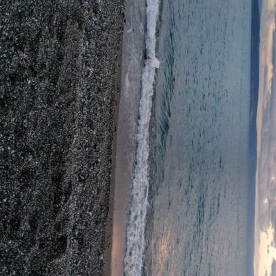 RosannaGuadagn3's profile picture. 