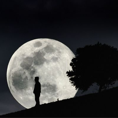Poemas, citações, músicas e pensamentos confusos ✍🍃
(aceito sugestões).
Se precisarem de alguém p conversar, é só chamar.