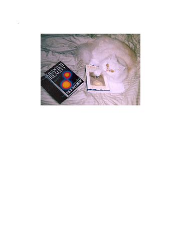 neweraexpo4545's profile picture. SERVING ALTERNATIVE ENERGY PRODUCERS, ORGANIC FARMING,     Since was born, was Desperate to find at least some signs of any intelligence. Wish me luck.