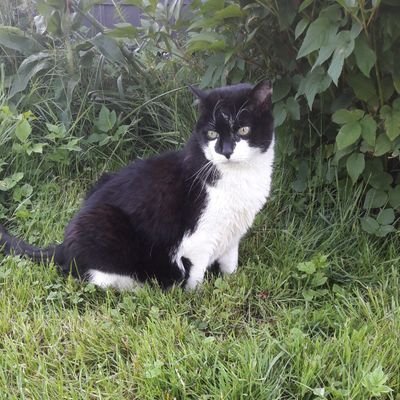 BlackSpell789's profile picture. german 20+ she/her