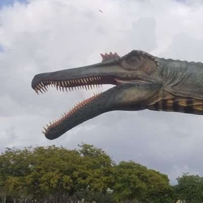 QuestionFound's profile picture. Playing Characters from the Other Side of Time