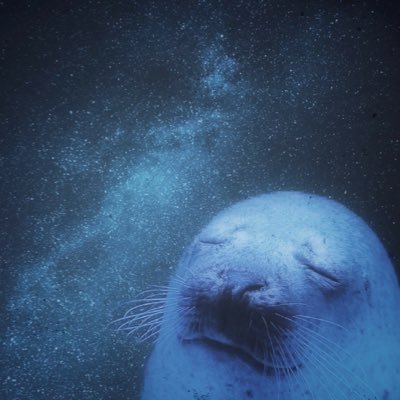 ごま🦭さんのプロフィール画像
