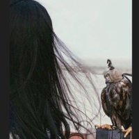 بنت القصيد (@qfo4_) Twitter profile photo