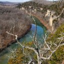 Mike Tyree - @MikeTyr68619560 - Twitter