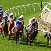 HorseRacerWebsites (@handyp1cks) 's Twitter Profile