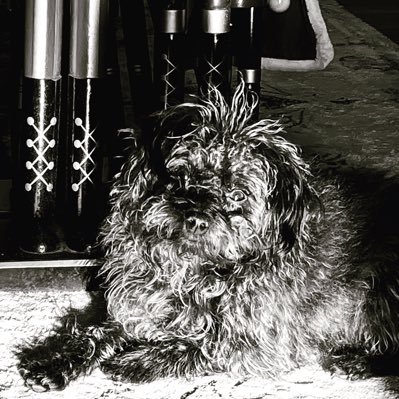 kristal_wheeler's profile picture. Studio Manager and Professional Multi Media Artist